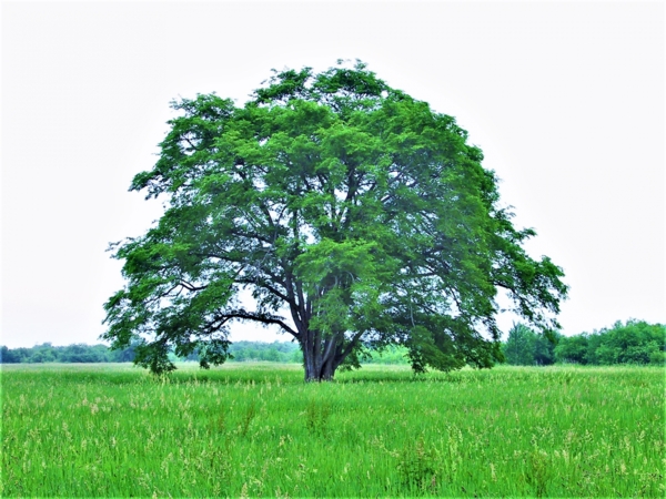 はるにれ母乳育児相談室の画像