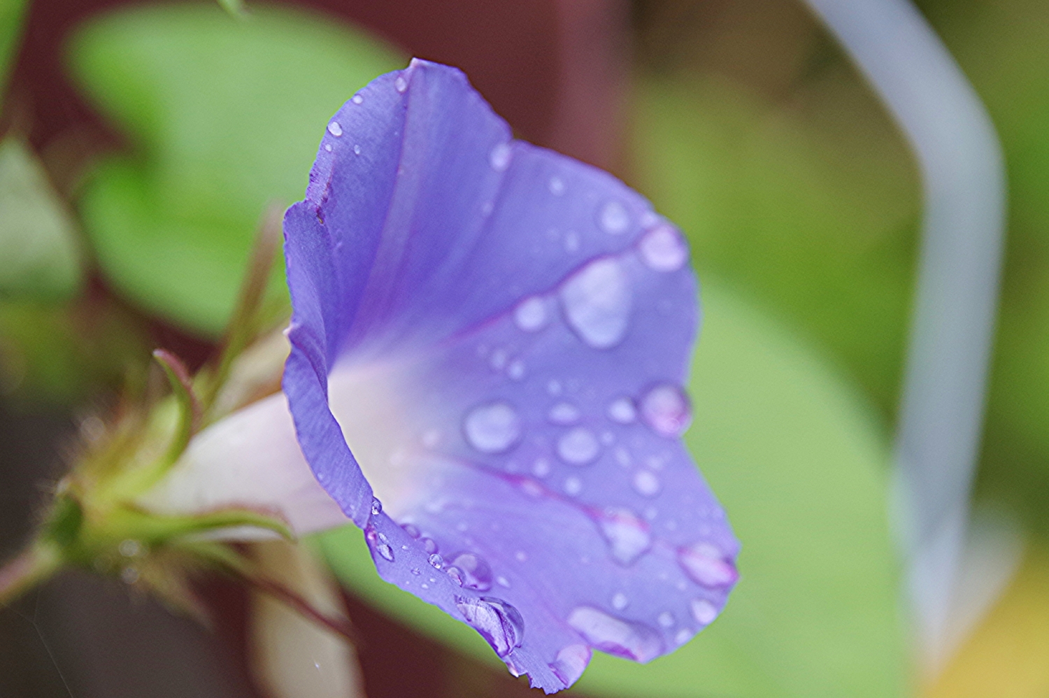 ふみ母乳育児相談室の画像