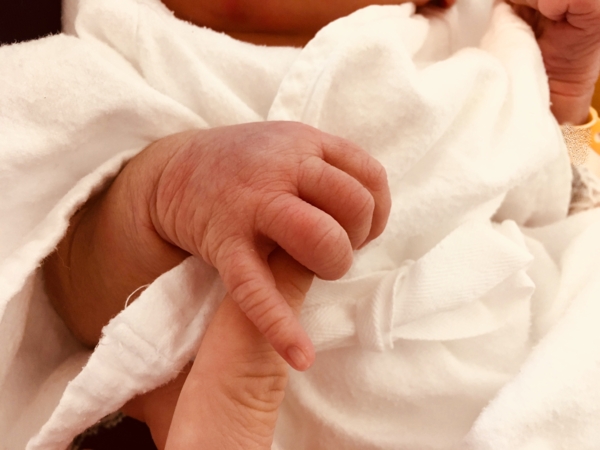 名古屋 母乳育児相談室                              (訪問)の画像