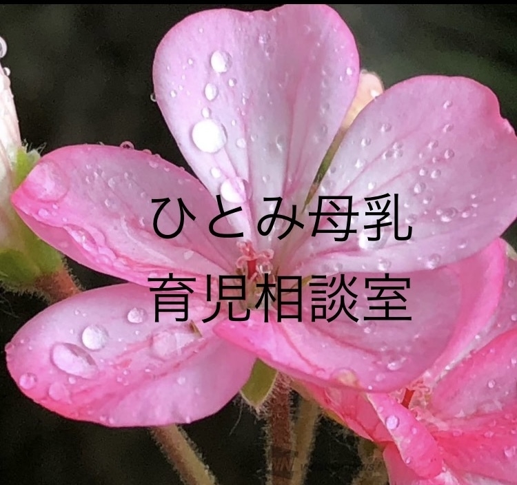 ひとみ母乳育児相談室の画像